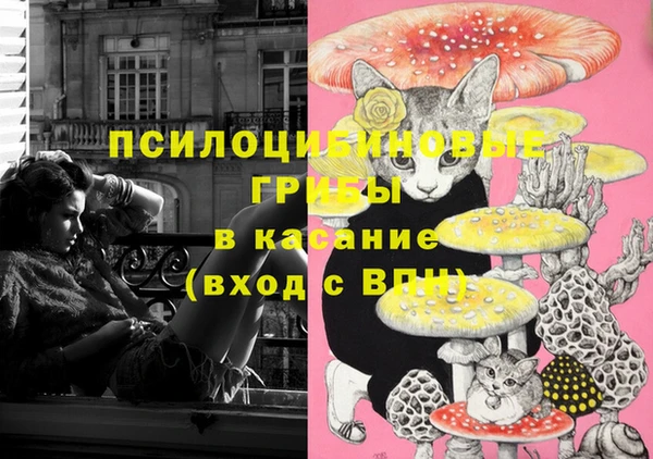 MESCALINE Горно-Алтайск