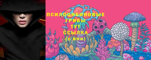 MESCALINE Горно-Алтайск
