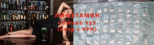 ешки Вяземский
